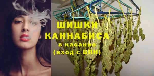индика Балабаново