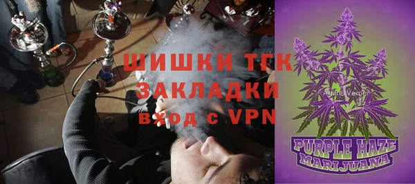 индика Балабаново