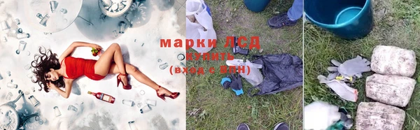 индика Балабаново
