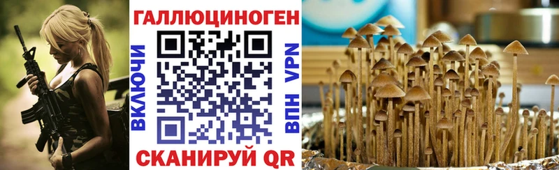 наркотики Котовск OMG рабочий сайт Псилоцибиновые грибы прущие грибы